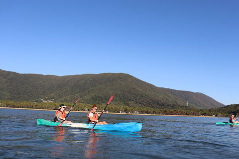 Kayak Turtle Tour From Palm Cove - Accommodation Broome 24