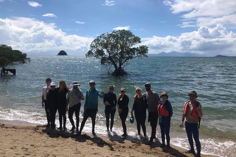 Kayak Turtle Tour From Palm Cove - Accommodation Broome 17