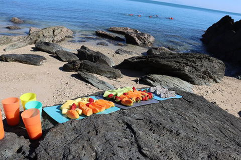 Kayak Turtle Tour From Palm Cove - Accommodation Broome 36