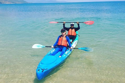 Kayak Turtle Tour From Palm Cove - Accommodation Broome 23