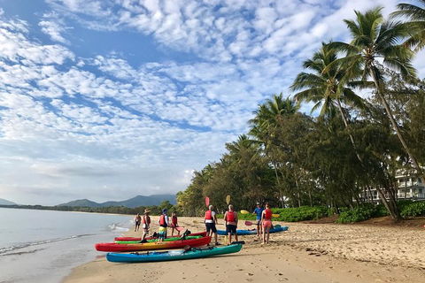 Kayak Turtle Tour From Palm Cove - Accommodation Broome 11