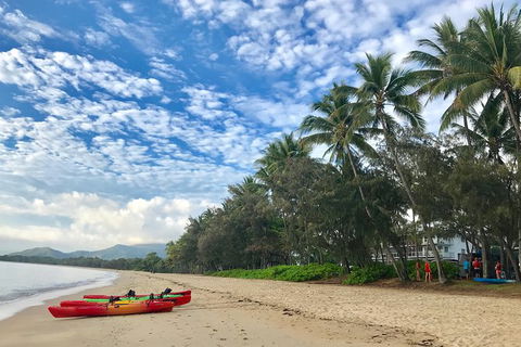 Kayak Turtle Tour From Palm Cove - Accommodation Broome 2