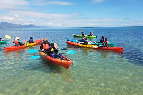 Kayak Turtle Tour From Palm Cove - Accommodation Broome 25
