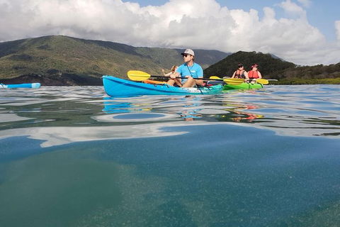 Kayak Turtle Tour From Palm Cove - Accommodation Broome 0