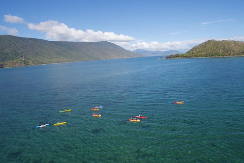 Kayak Turtle Tour From Palm Cove - Accommodation Broome 44