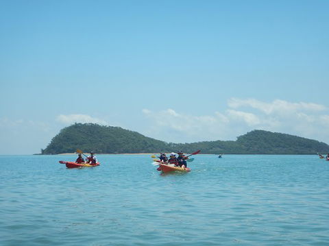 Kayak Turtle Tour From Palm Cove - Accommodation Broome 33