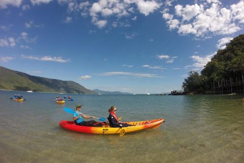 Kayak Turtle Tour From Palm Cove - Accommodation Broome 21