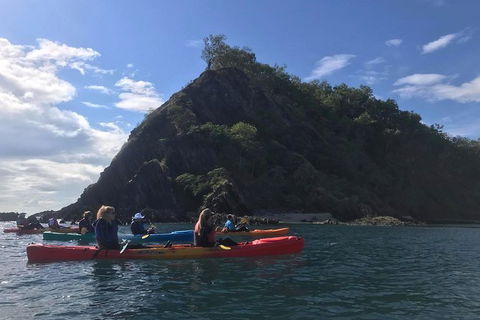 Kayak Turtle Tour From Palm Cove - Accommodation Broome 3