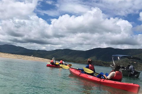 Kayak Turtle Tour From Palm Cove - Accommodation Broome 29