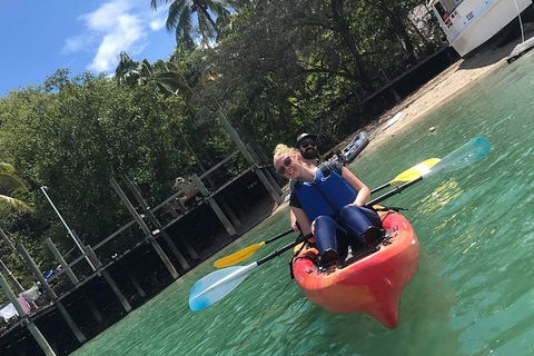 Kayak Turtle Tour From Palm Cove - Accommodation Broome 31