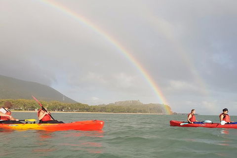 Kayak Turtle Tour From Palm Cove - Accommodation Broome 26