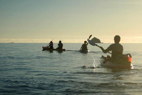 Kayak Turtle Tour From Palm Cove - Accommodation Broome 8