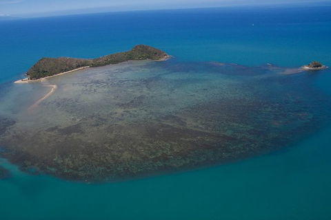 Kayak Turtle Tour From Palm Cove - Accommodation Broome 20