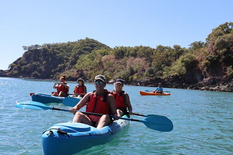 Kayak Turtle Tour From Palm Cove - Accommodation Broome 49