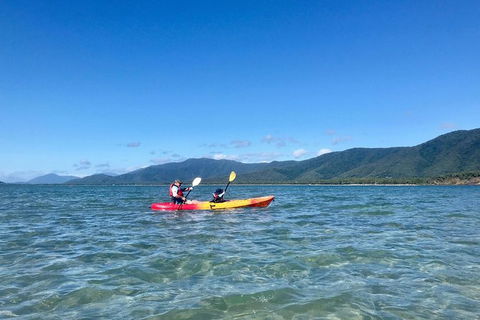 Kayak Turtle Tour From Palm Cove - Accommodation Broome 48
