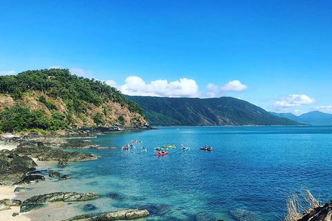 Kayak Turtle Tour From Palm Cove - Accommodation Broome 39
