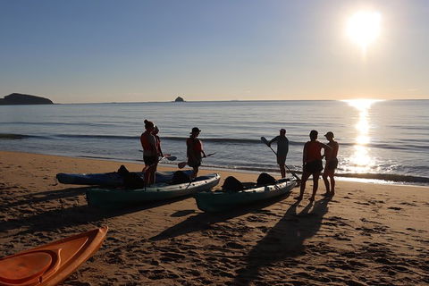 Kayak Turtle Tour From Palm Cove - Accommodation Broome 5