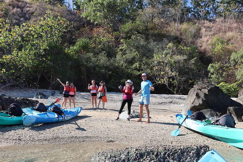 Kayak Turtle Tour From Palm Cove - Accommodation Broome 46