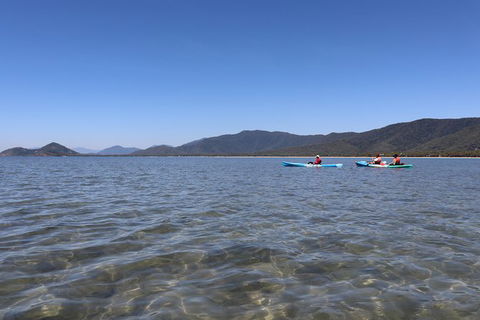 Kayak Turtle Tour From Palm Cove - Accommodation Broome 43