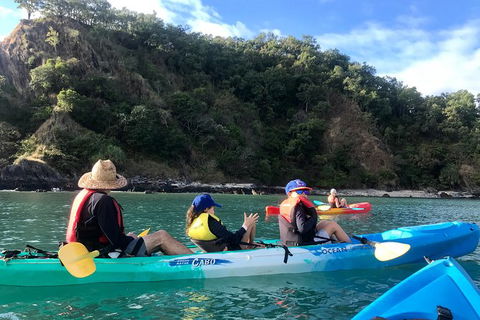 Kayak Turtle Tour From Palm Cove - Accommodation Broome 13