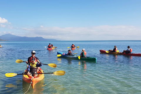Kayak Turtle Tour From Palm Cove - Accommodation Broome 37
