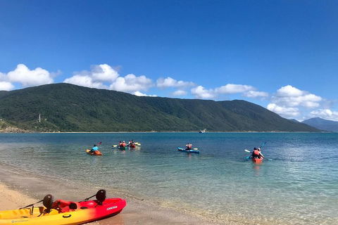 Kayak Turtle Tour From Palm Cove - Accommodation Broome 1