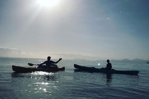 Kayak Turtle Tour From Palm Cove - Accommodation Broome 7