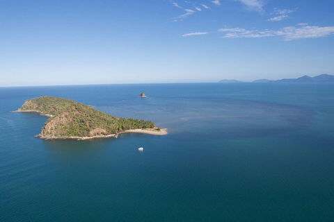 Kayak Turtle Tour From Palm Cove - Accommodation Broome 47