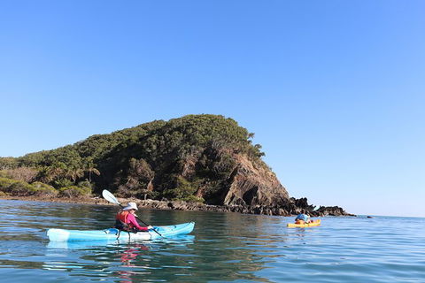 Kayak Turtle Tour From Palm Cove - Accommodation Broome 30