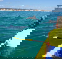 Kayak with Dolphins and 4WD Great Beach Drive Day Trip from Noosa - Accommodation Broome