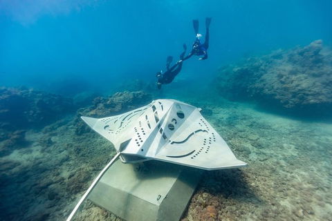 Private Standard Charter Experience In Whitsundays - Accommodation Broome 7