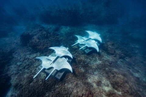 Private Standard Charter Experience In Whitsundays - Accommodation Broome 6