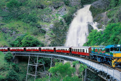 Kuranda Day Trip From Cairns By Scenic Railway And Skyrail Including Army Duck Rainforest Tour - Accommodation Broome 5