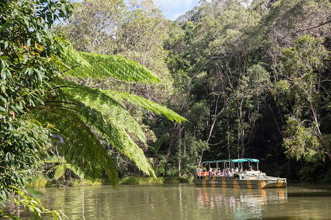Kuranda Day Trip From Cairns By Scenic Railway And Skyrail Including Army Duck Rainforest Tour - Accommodation Broome 0
