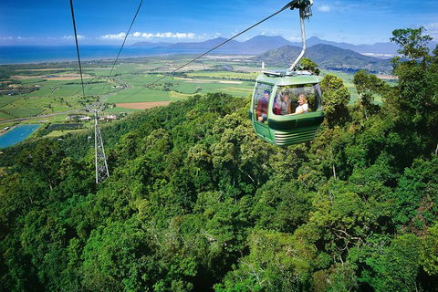 Kuranda Day Trip From Cairns By Scenic Railway And Skyrail Including Army Duck Rainforest Tour - Accommodation Broome 3