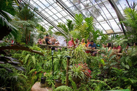 Australian Butterfly Sanctuary - Accommodation Broome 4