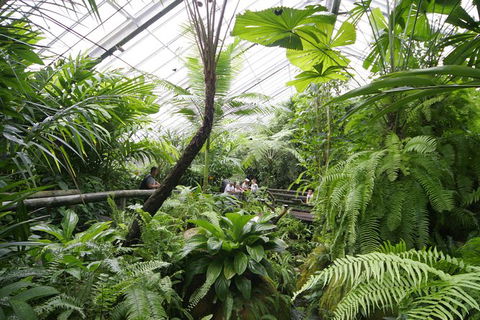 Australian Butterfly Sanctuary - Accommodation Broome 1