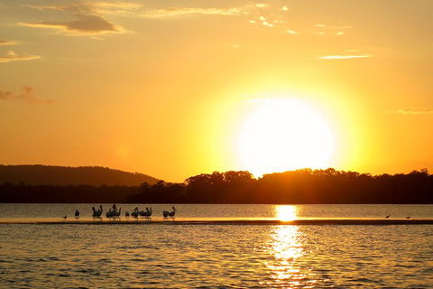 Noosa River Cruise For 3 To 4 People On A Classic Mahogany Speed Boat - 90 Min. - Accommodation Broome 6
