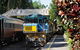 Kuranda Day Tour, TKS- Budget 830 - thumb 2