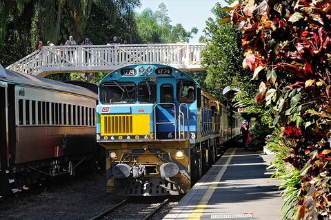 Kuranda Day Tour, TKS- Budget 830 - Accommodation Broome 2