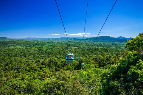 Kuranda Day Tour, TKS- Budget 830 - Accommodation Broome 5