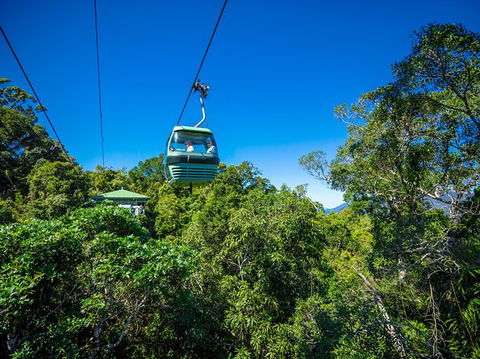 Kuranda Day Tour, TKS- Budget 830 - Accommodation Broome 3