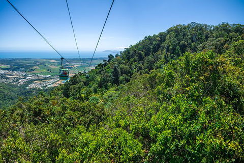Kuranda Day Tour, TKS- Budget 830 - Accommodation Broome 1