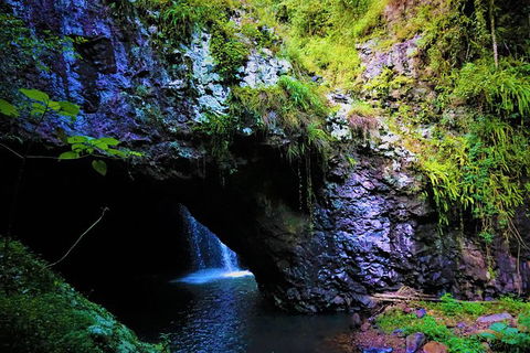 Private Tour - Rainforest & Waterfalls Extravaganza - Accommodation Broome 7