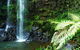 Private Tour - Rainforest & Waterfalls Extravaganza - thumb 5