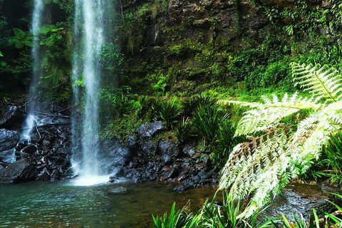Private Tour - Rainforest & Waterfalls Extravaganza - Accommodation Broome 5