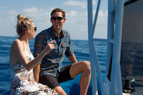 Private Tangalooma Wrecks Tour - Accommodation Broome 2