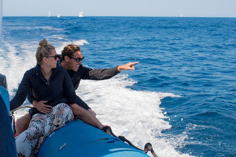 Private Tangalooma Wrecks Tour - Accommodation Broome 7