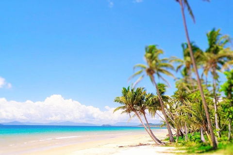 Airport Transfer - Cairns Airport To Mission Beach - Accommodation Broome 1