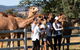 One Hump Camel Farm And Wine Tour - thumb 3